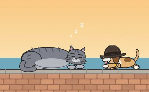 Barnaby asleep on a sunny wall beside a puppy wearing a big bowler hat